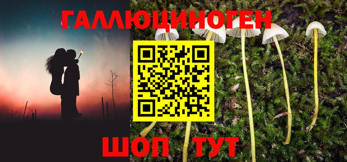 Псилоцибиновые грибы MAGIC MUSHROOMS Бугуруслан