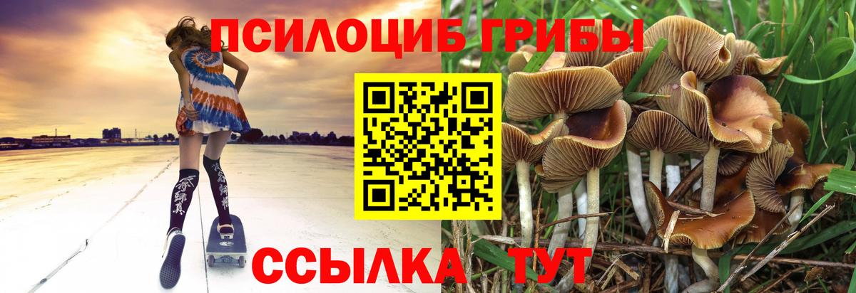 Галлюциногенные грибы мицелий  Вход с VPN  Бугуруслан 